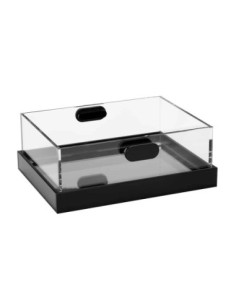 Conjunto de Recipientes para Hielo Acrílico Rosseto